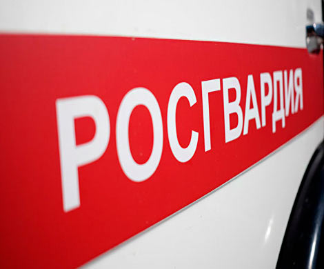 Неадекватный житель Курганской области проломил топором машину Росгвардии