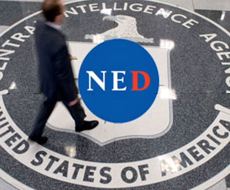 NED-фонд попросили на выход 