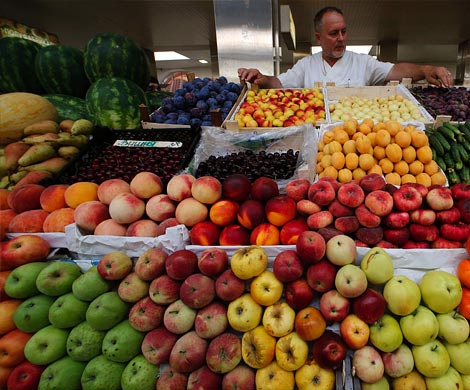 Недопустимость транзита в РФ турецкой продукции – Россельхознадзор 