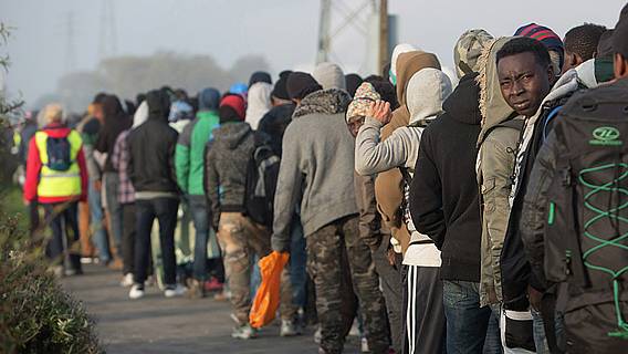 Неоправданная жестокость: кто стоит за отчетами правозащитников о грубом обращении с нелегальными мигрантами