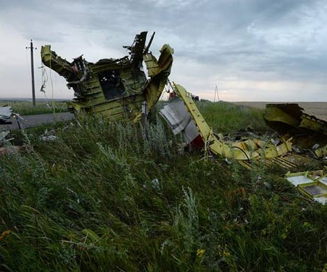 Нидерланды установят памятник на месте крушения «Боинга» в Донбассе