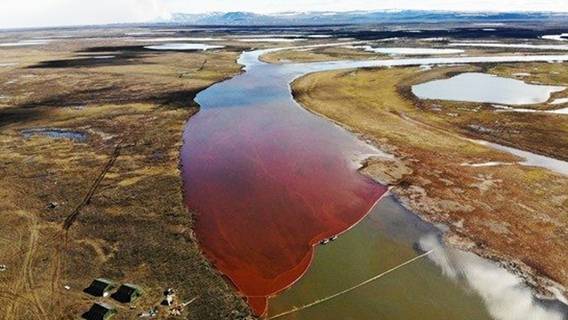 «Норникель» заправился на все дивиденды