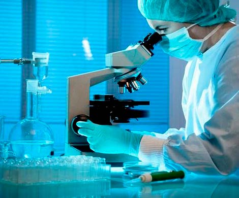 Новосибирские ученые начинают работу по созданию вируса-убийцы, уничтожающего раковые клетки