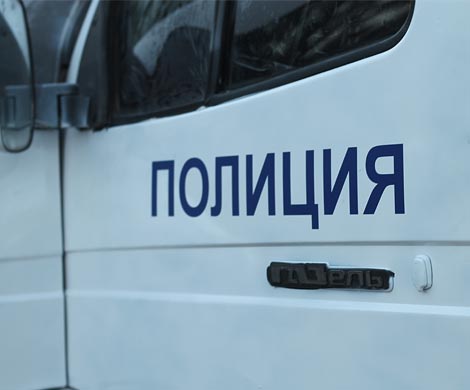 Новосибирский подросток убил соседку, оскорбившую его мать