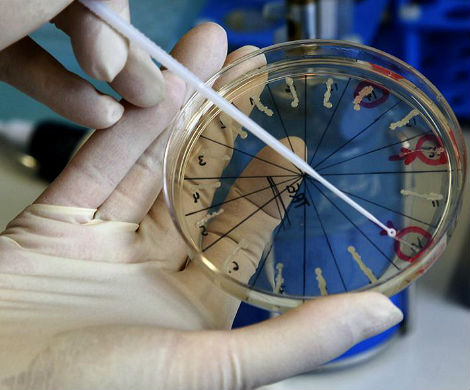 Новые микробные часы безошибочно определят время смерти