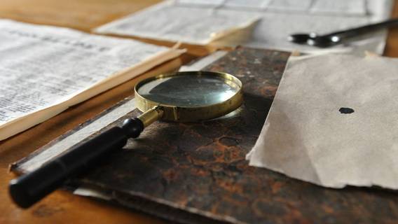 Нью-Йорк начал расследование в отношении государственных колледжей в связи с возможной антиеврейской дискриминацией