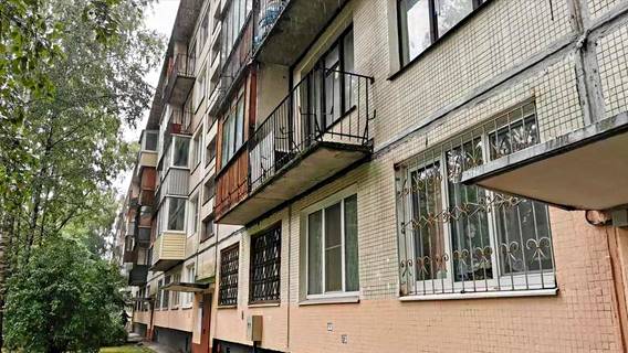 Общественный штаб по реновации в Петербурге «раздули» до 99 человек