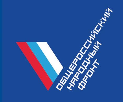 ОНФ за год потратил около 500 млн рублей