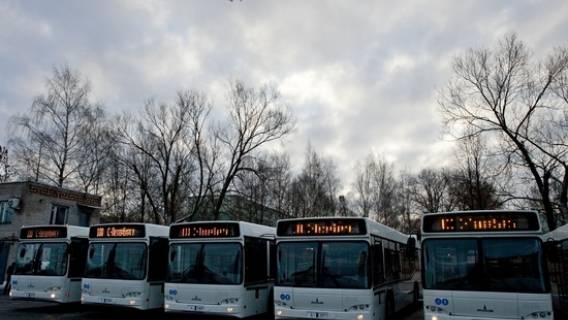 Перевозчики в Ленобласти могут рассчитывать на компенсационные выплаты за приобретение низкопольных автобусов в лизинг