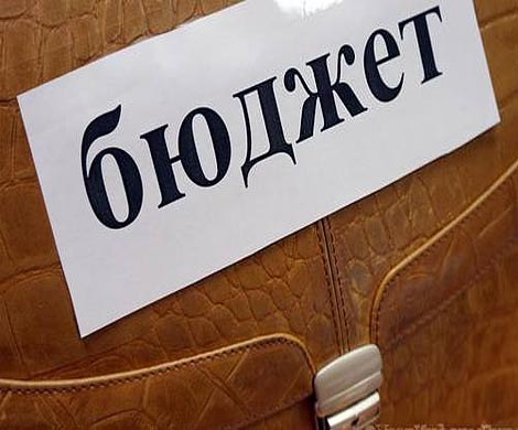 План отраслевой поддержки не включат в трехлетний бюджет