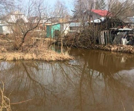 Под Костромой в реке утонули два брата-школьника