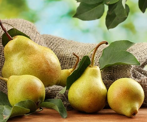 Полезные осенние продукты, которые должны быть в рационе