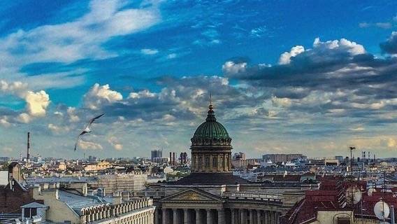 Политолог Шугалей нашел пробелы в отчете Беглова о состоянии социальной инфраструктуры Петербурга