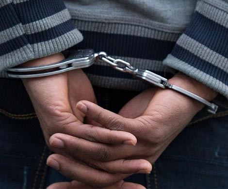 Порнографа-педофила задержали в Сосновом Бору Ленобласти