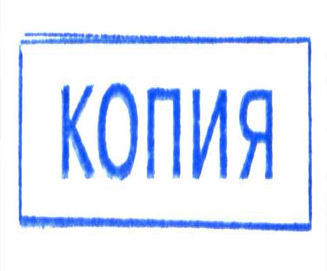 Правительство намерено узаконить электронные копии документов