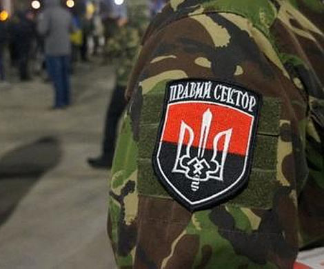 «Правый сектор» и Майдан 404