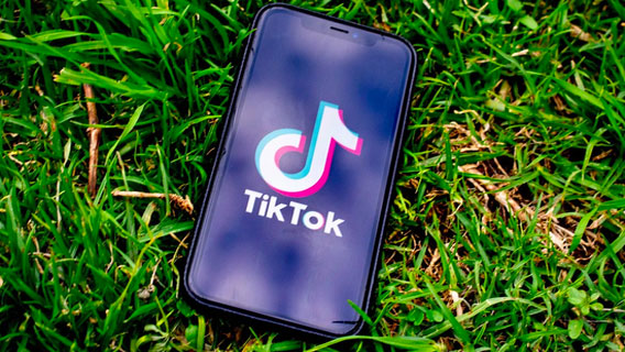 Представители Microsoft и TikTok ведут переговоры с Белым домом, чтобы предотвратить полный запрет приложения в США