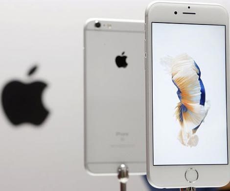 Продажи iPhone в РФ с начала года выросли на 84%