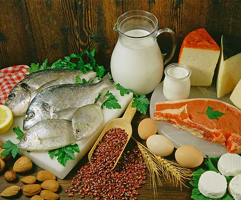 Продукты, богатые жирами, остановят старение мозга