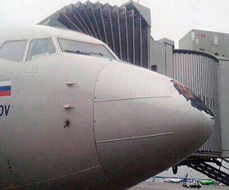 Птица протаранила Boeing во время посадки в Пулково