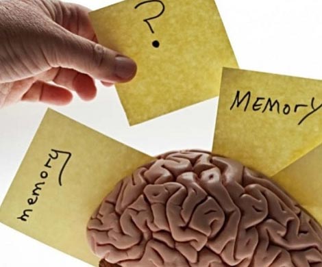 Раскрыт механизм запоминания информации о времени и месте