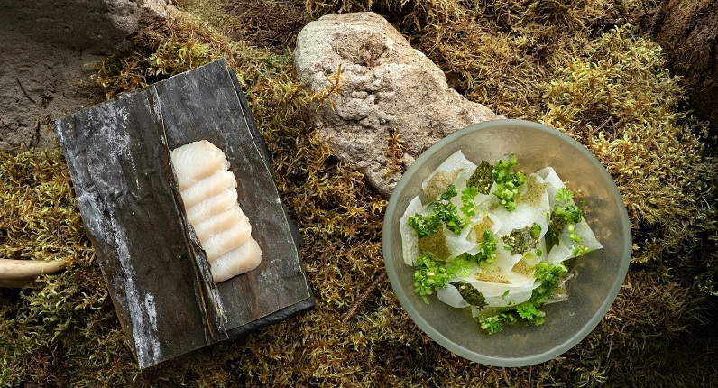 «Разбитое сердце оленя», «Жар-птица», фрикадельки из гуся и другие вкусные истории в новом меню Björn