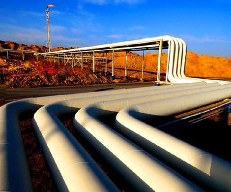 Решение о расширении «Газпрому» доступа к Opal приостановлено