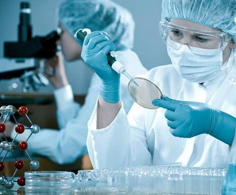 Риск развития микроцефалии у плода повышается в 50 раз из-за вируса Зика
