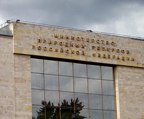Родственник Керимова может стать замглавы Минприроды