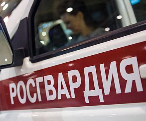 Рогозин предложил вооружить Росгвардию до зубов