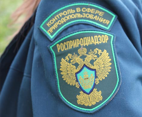 Росприроднадзор претендует на прокурорские функции