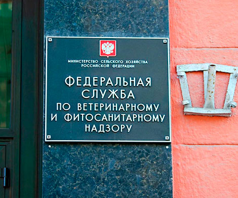 Россельхознадзор настаивает на упрощении конфискации