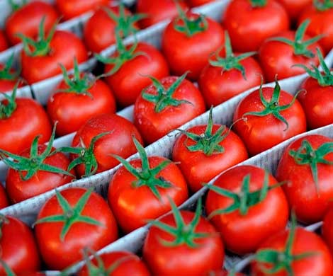 Россельхознадзор обнаружил новых нарушителей запрета поставок из ЕС