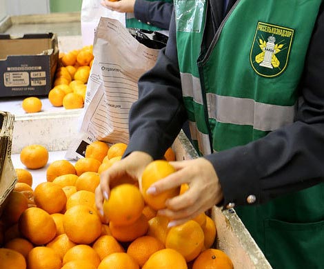 Россельхознадзор проверит продукты в Сирии, поставляемые в РФ