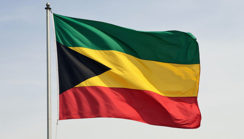 Российские инструкторы помогли предотвратить переворот в ЦАР