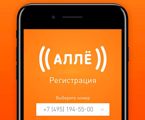 Российский аналог Skype приложение «Алле» заблокировали после критики‍