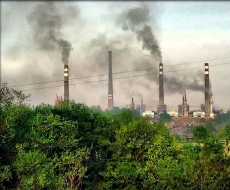 Россия может выполнить планы уменьшения количества  выбросов благодаря  лесам
