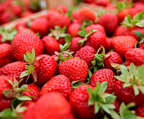 Россия нарастила импорт турецкой продукции на 40%