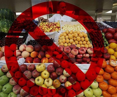  Россия не будет уничтожать турецкие продукты