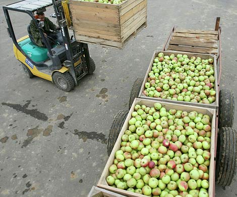 Россия призывает ЕС разобраться с контрабандой продуктов
