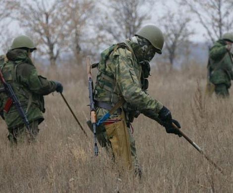Россия в ближайшие дни направит саперов для разминирования Пальмиры