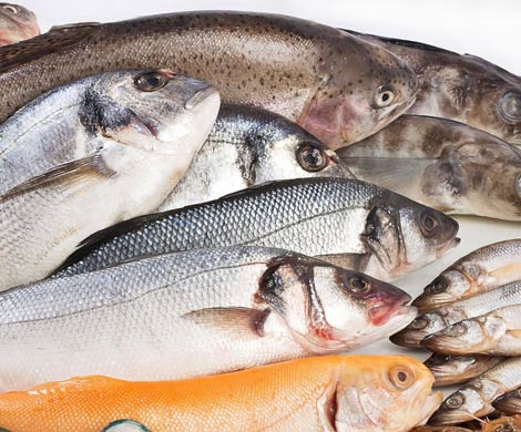 Рыба названа самым чистым продуктом питания