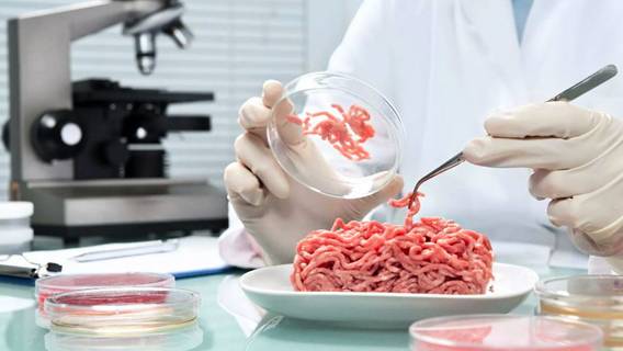 Рынок растительных заменителей мяса и молочных продуктов в Европе к 2025 году вырастет до 7,5 млрд евро