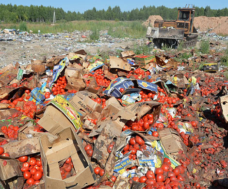 Самые известные исторические примеры уничтожения продуктов
