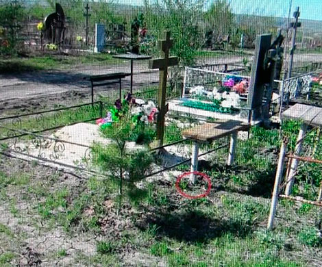 Саратовец прятал наркотики в могилах Елшанского кладбища