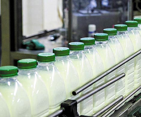 Счетная палата заявила о падении качества молочных продуктов