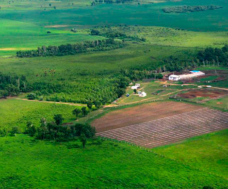 Село "на гектарах" в Хабаровском крае официально получило имя‍