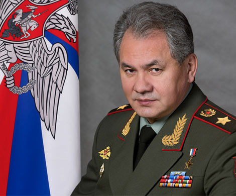 Сергей Шойгу назвал причину трагедии под Омском