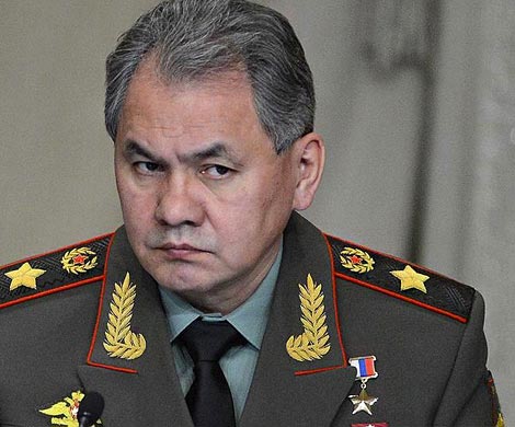 Шойгу доложил Путину о взятии Пальмиры‍