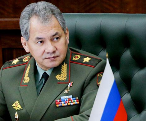 Шойгу поручил помочь семьям погибших в Алеппо медиков